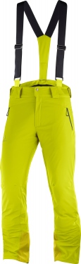 Брюки Salomon Iceglory Pant M 