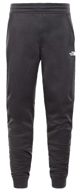 Брюки The North Face Surgent Cuff Pant