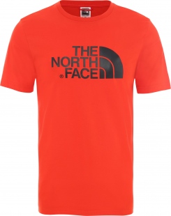 Футболка The North Face Easy Tee M